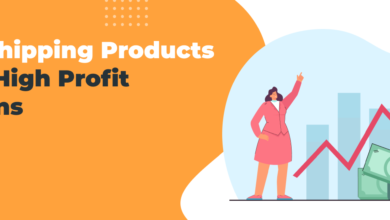 Maximizing Your Earnings The Best Dropshipping Products with High-Profit Margins